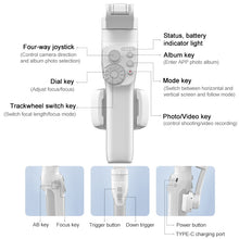 Load image into Gallery viewer, MCP0376_2.jpg@8ab1447098e49b5cbaacb044a1e2f7c5