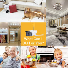 Load image into Gallery viewer, MDC0062_11.jpg@80206d3acba6c10d77bb9c28b6d8e6e8