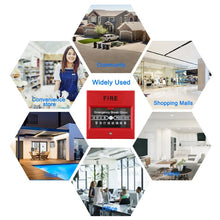 Load image into Gallery viewer, MDC0071_6.jpg@273ee92717a7c749105170b0a638a133