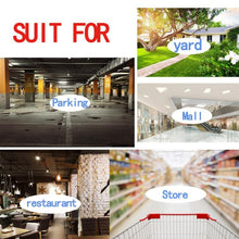 Load image into Gallery viewer, NC0317_9.jpg@2a109adca8cf5443445f1cfbf8861906