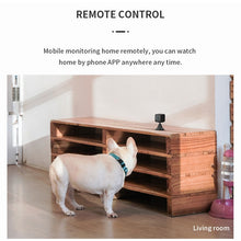 Load image into Gallery viewer, NC0399_B7.jpg@9c27d5b57c3f7229a2ad8800dce2be2a