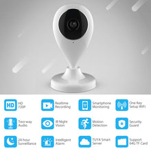 Load image into Gallery viewer, NC3436_4.jpg@2cf40044a3ce259046e67b89352d5eb4