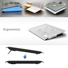 Load image into Gallery viewer, PC0331B_3.jpg@a74b2711cd3961d0f73f74efb2cee4cb