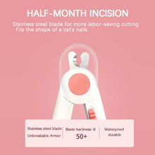 Load image into Gallery viewer, PSP0004F_5.jpg@1861fe2b62cb7f14ae8de774bfb1eb3d