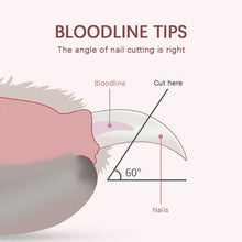 Load image into Gallery viewer, PSP0004F_6.jpg@e68e2b6c17c3d9da220bfaa38f96c176