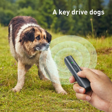 Load image into Gallery viewer, PSP0131_B6.jpg@bbe2ddff586157c54b4be1c158b5c199