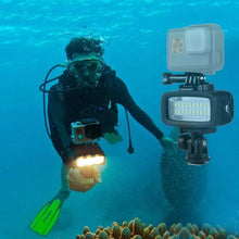 Load image into Gallery viewer, PU222_11.jpg@82ad46a2005c1aa23d0a73ba51a7356f