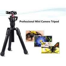 Load image into Gallery viewer, PU3001_1.jpg@6776b329d0910708b564bbaf01ddf16e