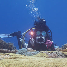 Load image into Gallery viewer, PU3085B_7.jpg@df20fa86b1d4cab0d7a7374a4e511997