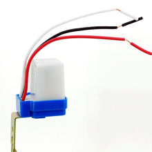 Load image into Gallery viewer, S-CA-0580_2.jpg@1249d3cd366782ec051c0b12bbb7bf95