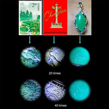 Load image into Gallery viewer, S-CA-4145_8.jpg@47c98e6a8e0991b45690177215e26edc