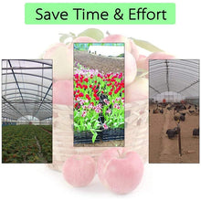 Load image into Gallery viewer, S-CA-4581_4.jpg@795d0f69b2d5dc8e6aa1537b36174c10