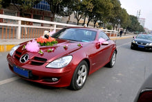 Load image into Gallery viewer, S-CMS-0447_8.jpg@e1152763bca3fb9256a3aa24a40e9aba