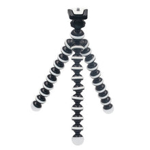 Load image into Gallery viewer, S-DCA-0111_1.jpg@92702702927bb3f8123a18c3646c6a29