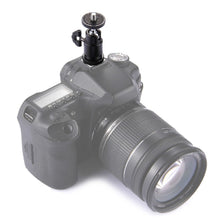 Load image into Gallery viewer, S-DCA-0193_4.jpg@2b0a2e61f76a4245a8759b9938a1ea39