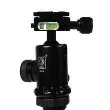 Load image into Gallery viewer, S-DCA-0413A_4.jpg@67fbe7e72f5d0d782940b698c383d6c2