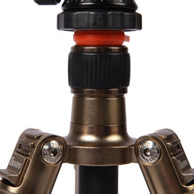 Load image into Gallery viewer, S-DCA-0418C_4.jpg@feda097f4113dce76dd62ab5ce2b2c13