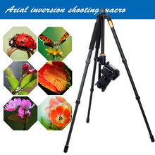 Load image into Gallery viewer, S-DCA-2303_5.jpg@6031f30d0ac8b854374464cf0d76e731