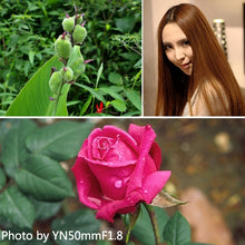 Load image into Gallery viewer, S-DCA-4040_11.jpg@7cbe3585817b7c974f307a5244dbaa1e