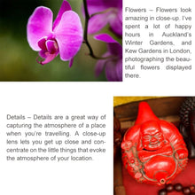 Load image into Gallery viewer, S-DLP-2568_11.jpg@ae70df94a05c8b3748f2e0ee50894561