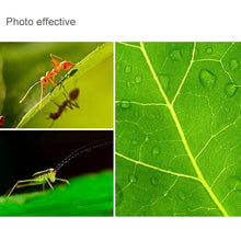 Load image into Gallery viewer, S-DLP-2568_12.jpg@819a424321494e7f8939ec8c6687ee22