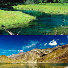 Load image into Gallery viewer, S-DLP-3952_7.jpg@9d94d90a1dde09ede832eac9ae0c93ae