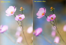 Load image into Gallery viewer, S-DLP-9936_8.jpg@0089a3471e7c43870346ed47c6a33697