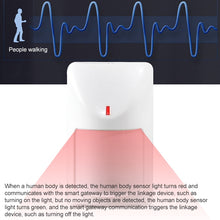 Load image into Gallery viewer, S-MDC-0369_5.jpg@9508acd7455fb87003e2e85de8da0f3e