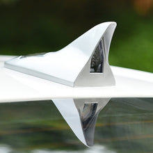 Load image into Gallery viewer, S-SWL-0216S_9.jpg@310b0b8751c7bf1eff8707f65fcc013d
