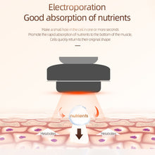 Load image into Gallery viewer, SYA001702_6.jpg@11f8d8d44b68b36a3569ac71cba60a65