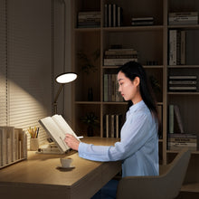 Load image into Gallery viewer, SYA0023612_6.jpg@179574c769ef91dc17cb6e8e74bda93e