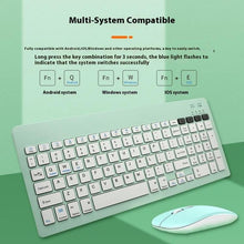 Load image into Gallery viewer, SYA0029588_B2.jpg@f89b4f8b742479a14930cfcc64a7bf99