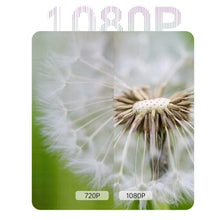 Load image into Gallery viewer, SYA0030583_B3.jpg@89fc46edbcc57eb99ffb1276ed4f9175