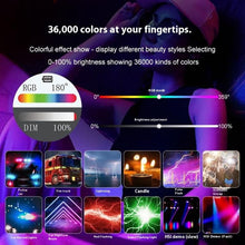 Load image into Gallery viewer, SYA0030857_7.jpg@799650feba4c7fd53a8d2ba0a2a36f95