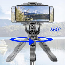 Load image into Gallery viewer, SYA0031299_2.jpg@1c166794b679bebbeeadf7a2210fe564