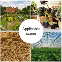 Load image into Gallery viewer, SYA003766_5.jpg@27d0caddc91b332aec0ae0ae6b10b90c