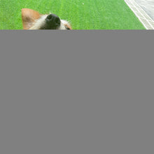 Load image into Gallery viewer, TBD0124613303B.jpg@b6e060548991d1b97077afbaf4c0ccbb