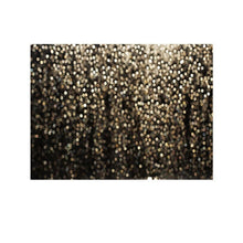 Load image into Gallery viewer, TBD03892698_1.jpg@b20fa202ad0370b6a7e70fd952e68a9e