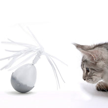 Load image into Gallery viewer, TBD04268949.jpg@1835a1b5a930ab1f501cda0f11b52bf7
