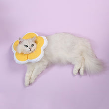 Load image into Gallery viewer, TBD0426969903A_4.jpg@b3151ad7b02a22939e52030d8c9d97ae