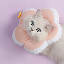 Load image into Gallery viewer, TBD0426969903C_4.jpg@b88cb0529658410186de5ceafd69e624