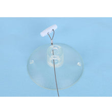 Load image into Gallery viewer, TBD0426987301D_4.jpg@001c6d2dbbcee251d7e70d4370050184