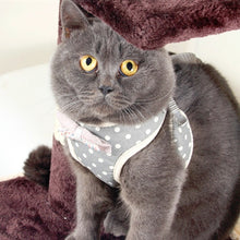 Load image into Gallery viewer, TBD0463250101D_1.jpg@c32d7754e4ca3006082fcabbeb6b051e