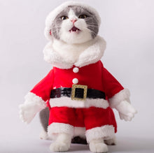 Load image into Gallery viewer, TBD0493959405_5.jpg@b3ae6d6fe012ee55df5c86fcd9f6a604