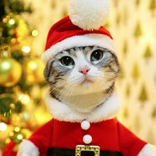 Load image into Gallery viewer, TBD0493959405_7.jpg@fb8a00ce709be00fa2031a649967c58e