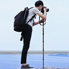 Load image into Gallery viewer, TBD05313852_10.jpg@0bf4b2ff8b92b7bfa0f50ce6b4890e77