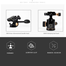 Load image into Gallery viewer, TBD0531798301_9.jpg@7756f66eaed8232c4210a5894c5c27de