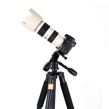Load image into Gallery viewer, TBD05318021_4.jpg@3add859aae9d0cda2afaef7bf1297627