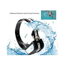 Load image into Gallery viewer, TBD0537377702_B8.jpg@0f6946ab4101d0743761c4c8ebb640e6