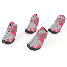 Load image into Gallery viewer, TBD0554679805B_1.jpg@369cbb02b2b9de9d50d407aebee6e77d